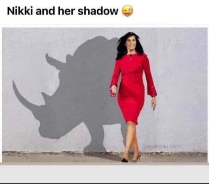 RINO Nikki.jpg