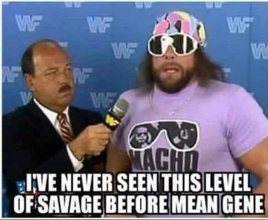 savage levels mean gene (2).jpg