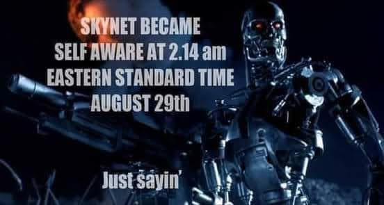 skynet.jpg