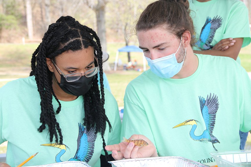 Thomas Stone High School seniors Angelina Smith, left, and Clayton Jameson identify a fish during the aquatics portion of the Charles County Envirothon.