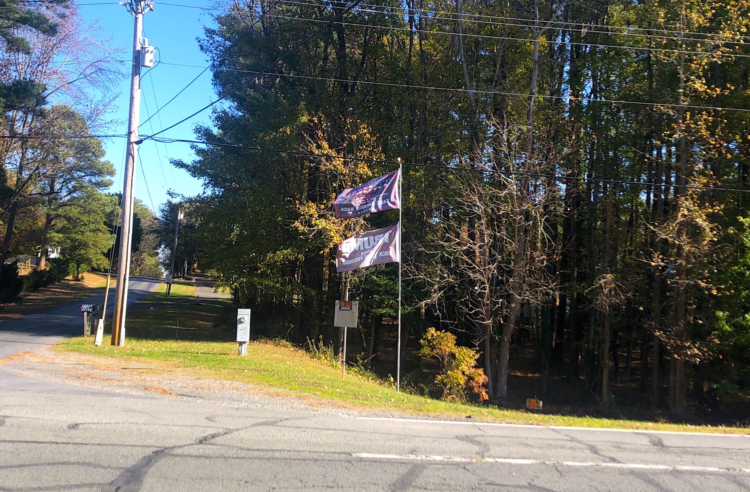 Trump Flags.jpg