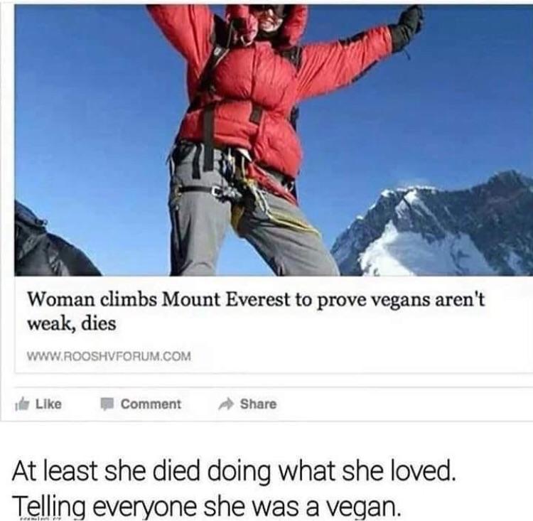 Vegan dies Mt Everest.jpg