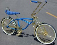 pimpin bike.jpg