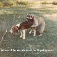 worsthuntingdog.jpg