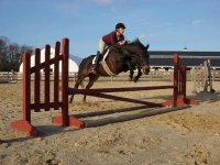 Bella & Jana jumping web.JPG