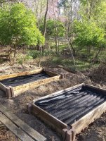 Raised beds III.jpg