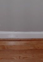 New-hall-paint.gif