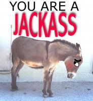 jackass.jpg