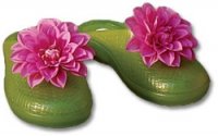 garden clogs.jpg