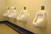 800px-Sensor-operated-urinals1377p.jpg