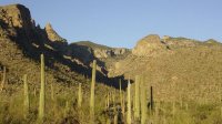 tucson-canyon.jpg