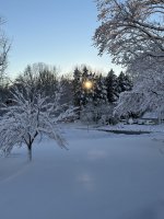 snow 1-3-22-5.jpg