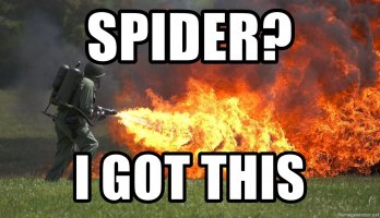 spider-i-got-this.jpg