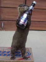 bud-light-otter.jpg