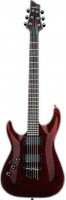 schecter3.JPG