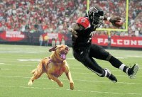 Vick.jpg