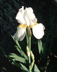 DSCF0827.JPG