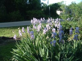 DSCF0811.JPG
