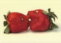 kissyberries.jpg