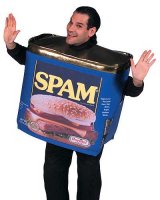 spam-big.jpg