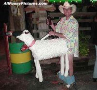 sheep-costume.jpg