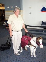 taking-a-pony-on-the-plane.jpg