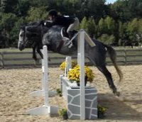 Sadie and Jana jumping wall oxer sm.JPG