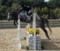 Sadie and Jana jumping wall oxer.JPG