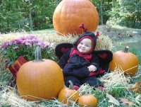 Kaylee Halloween Lady Bug.jpg