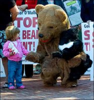 Humane Society Bear 2007.jpg