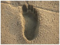 footprint.jpg