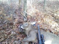 Rogers9point[2].jpg