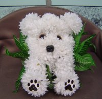 flowers-bichon.jpg