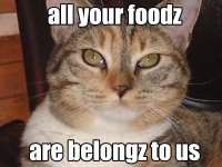 allyourfoodz.jpg