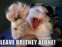 leavebritneyalone.jpg