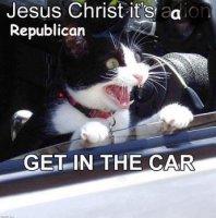 Repub Cat.jpg