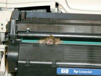 hamster_printer.jpg