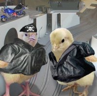 biker-chicks.jpg