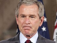 top.1546.bush.ap.jpg