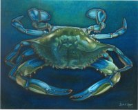 blue crabwc.jpg