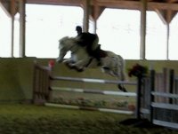 indoor jump.jpg