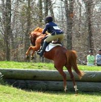 jumper derby bank up.jpg