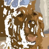 dogpaint2.jpg