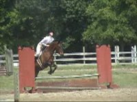 horse show 6-8-08 002 001_0001.jpg