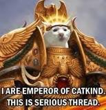 th_catemporer.jpg