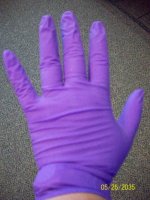 gloves 2.jpg