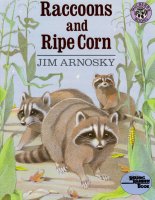 raccoons in the corn.jpg