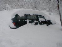 SnowStorm062-1.jpg