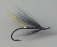 salmon-fly-stoats-tail.jpg