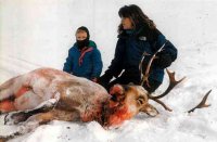 Palin and the caribou.jpg